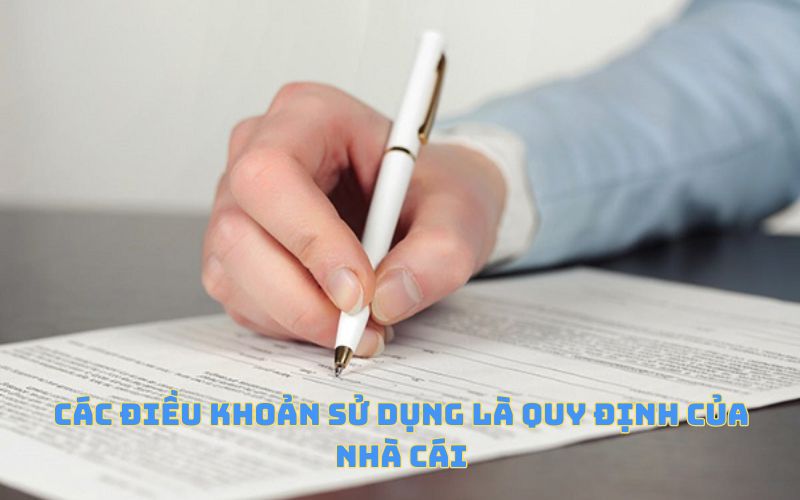 Các điều khoản sử dụng là quy định của nhà cái